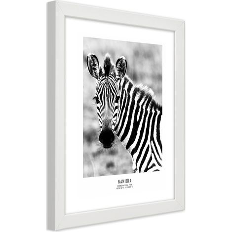 Quadro con cornice, Una zebra curiosa - 40x60 (1/5)