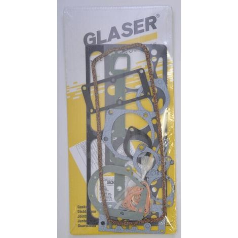 Bolsa de rodaje p/Perkins GLASER DANA 69036N (1/2)