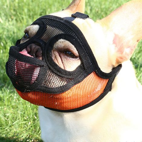 Muzzle Pour Chien - Maille Respirante Réglable En Polyester Et Nylon - Pour Chiens À Museau Court - 1 Pièce (1/5)