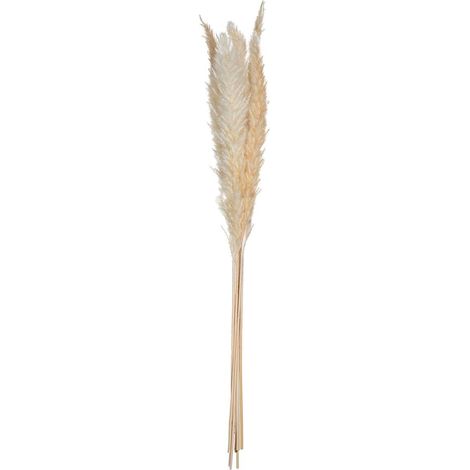 Set di 6 fiori secchi Natural Pampa - Atmosphera créateur d'intérieur (1/3)