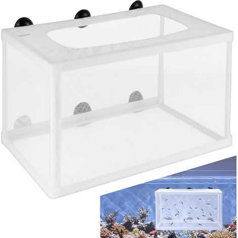 Boîte ponte flottante poissons, incubateur filet isolation aquarium eau froide/tropicale (1/4)