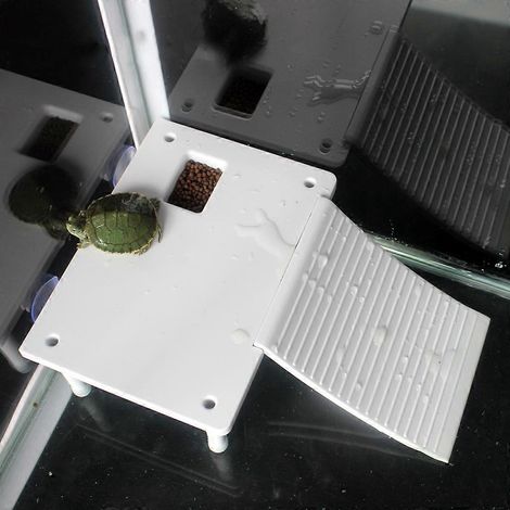 Plateforme pour tortues avec rampe à ventouses et échelle pour reptiles - Décoration pour habitat (1/4)