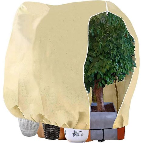 Housse d'hivernage pour plantes, 180 x 120 cm, réutilisable (1/5)