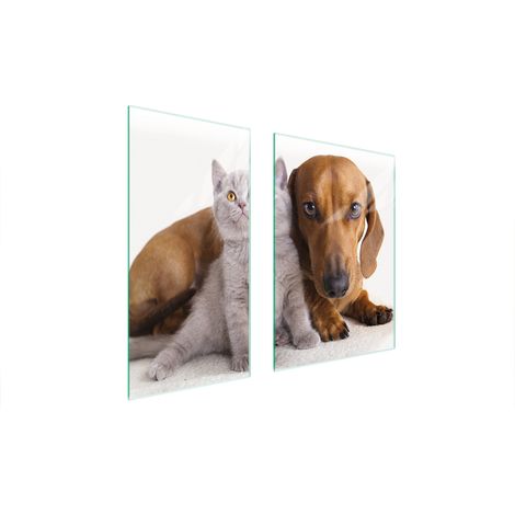 PLACA PROTECTORA DE VIDRIO 75x52 ANIMALES (1/5)