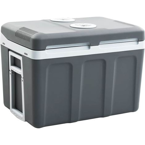 Glacière portable thermoélectrique 40 L 12 V 230 V E vidaXL (1/5)