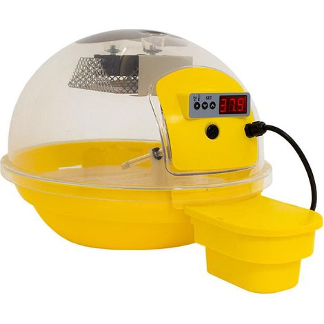 Incubatrice per Uova Fiem Smart Digitale 24 Giallo (1/5)