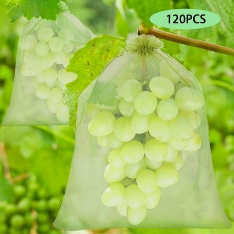 Sac de protection Grape Bunch, 120 pièces 3 tailles sac de protection de fruits, sac en organza avec cordon de serrage pour garder les guêpes et autres insectes à l'extérieur (1/5)