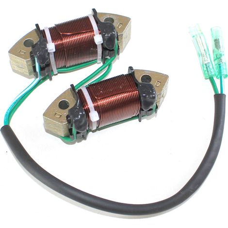 S-giant Bobine d'éclairage pour moteur hors-bord Tohatsu 4 temps 8HP/9.8HP - Compatible avec 3AA-06023-0. (1/2)