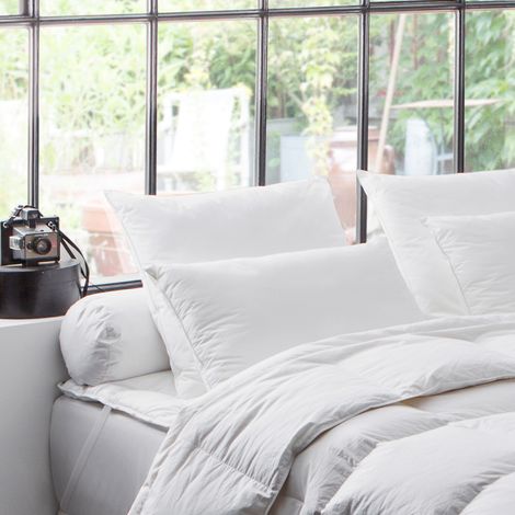 Oreiller naturel 90% duvet de Canard - 50/75 - DODO (1/2)