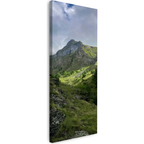 Leinwanddruck Natur Überwucherte Berge 40x120 cm