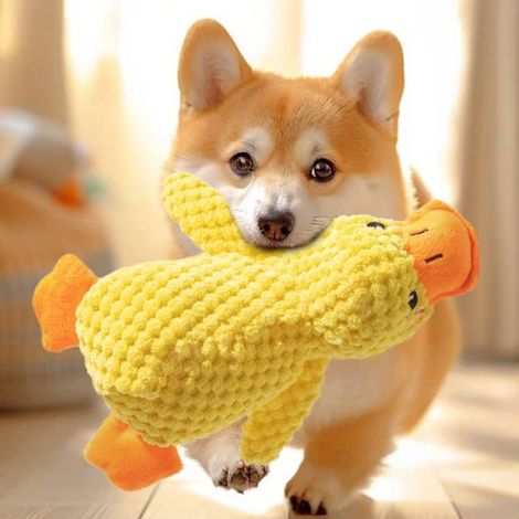 Jouets en peluche doux et couineur pour petits Chiens - Soulage l'ennui et le besoin de macher - Convient aux Chiens de petite et Medium - 25 cm - 1 pièce (1/5)