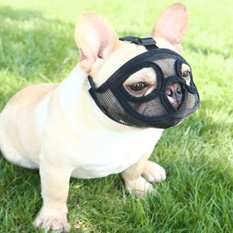 Museruola corta per cani - Museruola regolabile in rete traspirante per bulldog, ideale per cani che masticano e abbaiano (S (45-56 cm))