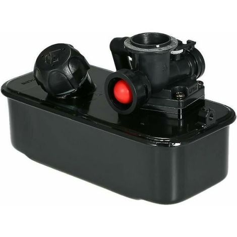 Réservoir de carburant - Briggs & Stratton - Carburateur 494406 498809 (1/4)