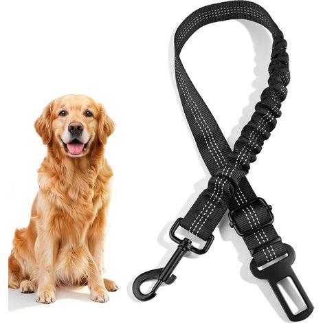 Laisse Ceinture de Sécurité pour Chien et Chat en Voiture (1/5)