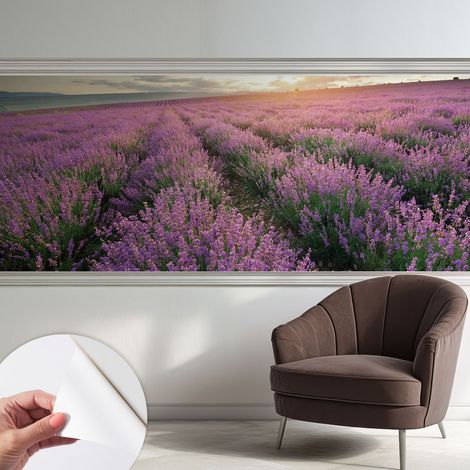 Carta da parati adesiva - lavabile - decorazione murale - per cucina - pellicola decorativa Campi di lavanda 250x104 cm (1/5)