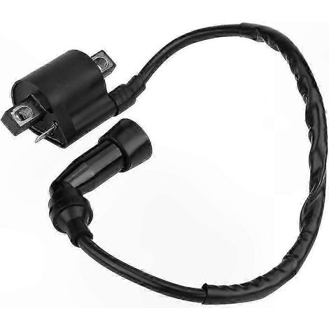 Bobine d'allumage de remplacement pour moteur de moto noir pour VTT 1999-2004. (1/5)