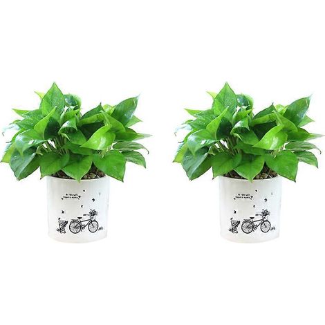 Pot de fleurs en plastique à absorption d'eau automatique, compatible avec le jardinage (lot de 2) (1/5)