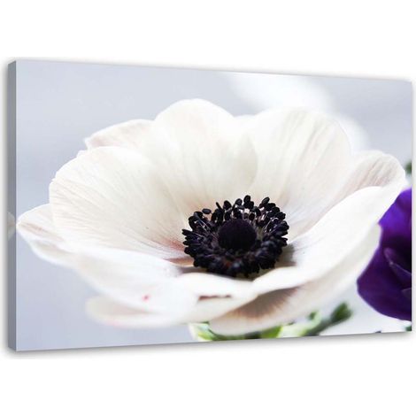 Tableau sur toile Fleur Blanc Naturel 90x60 (1/5)