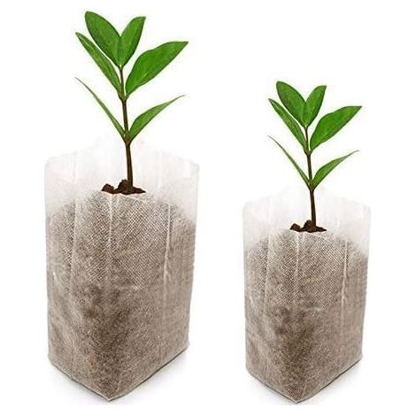 200 Pièces Sacs Biodégradables Tissu Non tissé,pour Plantes Semis Sacs de Croissance d'élevage (10 x 12 cm + 14 x 16 cm) (1/5)