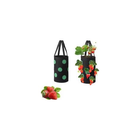2 Pièces Fraises Sac Culture Respirant, Sac Plantation Jardin, Conteneurs Culture de Légumes, 12 Trous Non Tissé Plante Panier Suspendu pour Les Fraises, Les Herbes, Les Légumes et Les Fleurs