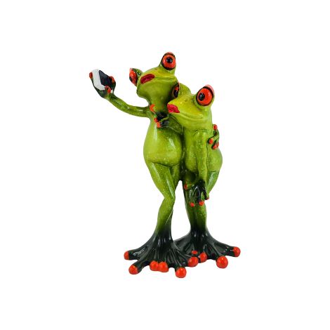 Selfie-Freund-Froschfigur (1/5)