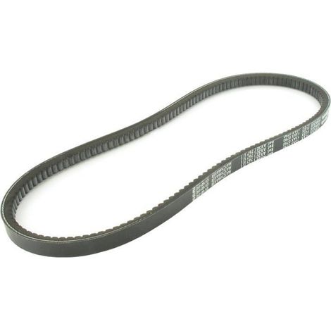 Courroie Trapézoïdale Crantée - 3L240 - 599 mm - Pour Tondeuse À Gaz - 1 Pièce