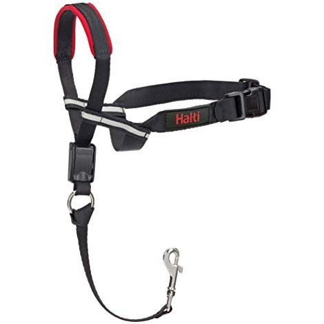 Collare a cavezza HALTI Optifit - Per impedire che il cane tiri il guinzaglio, regolabile con fascia per il muso imbottita. Collare anti-trazione per l’addestramento di cani di taglia media (Taglia M) (1/4)