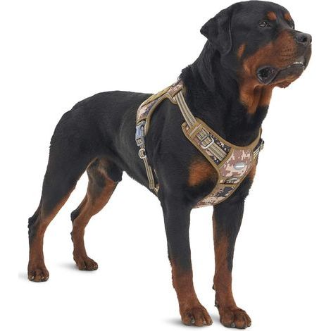 Verstellbares Anti-Zug-Hundegeschirr, strapazierfähiges Nylon, 4 D-Ringe, gepolsterte Druckpunkte, MOLLE-System zur Befestigung von Zubehör (1/5)