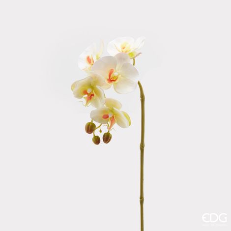 EDG Enzo De Gasperi Orchidea Phalaenopsis Olis Ramo 3D x5 Artificiale H 70 Cm White Yellow