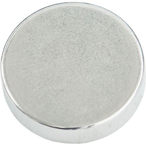 Magnet Ø 20 x 5 mm, N35, 2 Stück Schrauben & Dübel (1/4)