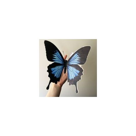 2X Autocollant Sticker Voiture Moto Deco Papillon Bleu Noir frigo (1/5)