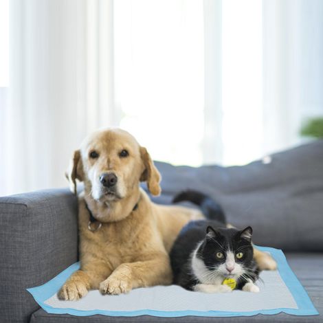 Jiubiaz 120 empapadores para perros 60x60 cm, protectores absorbentes para casa y viaje (1/5)