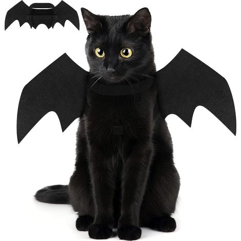 Déguisement de chauve-souris pour animaux de compagnie (chiens et chats) pour Halloween