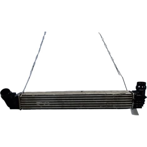 Echangeur Air RENAULT Megane III 2008- [PRODUIT D'OCCASION]♻️144963639r (1/3)