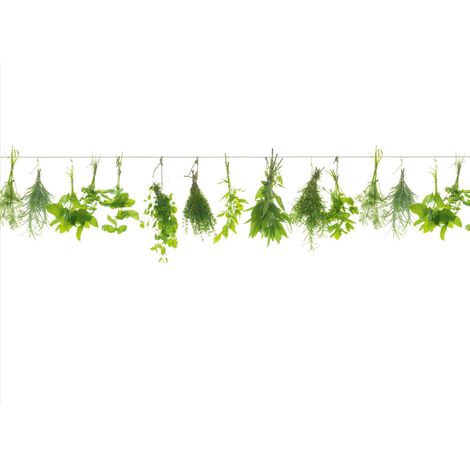 Küchenrückwand WandArt easy 80 x 58,5 cm, 3 mm, herbs line Spritzschutz