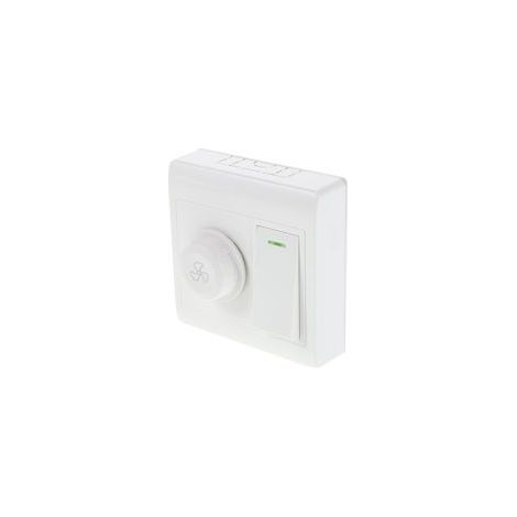 Interruttore a parete per ventilatore a soffitto, pannello di controllo a montaggio superficiale per illuminazione, regolatore di velocità, controllo doppio di ventilatore e luce per la casa. (1/5)