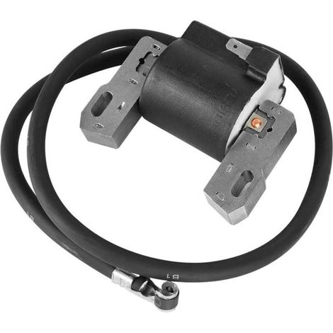 1 Bobine D'allumage - Pour Moteur Briggs & Stratton - Référence 398811 395492 398265 - Compatible Tondeuse À Gazon (1/5)