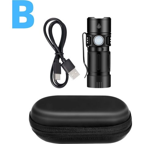 Lampe torche ultraviolette avec faisceau de 395 nm, mini-lampe torche rechargeable haute intensité pour la détection des taches d'animaux domestiques et des punaises de lit (1/4)