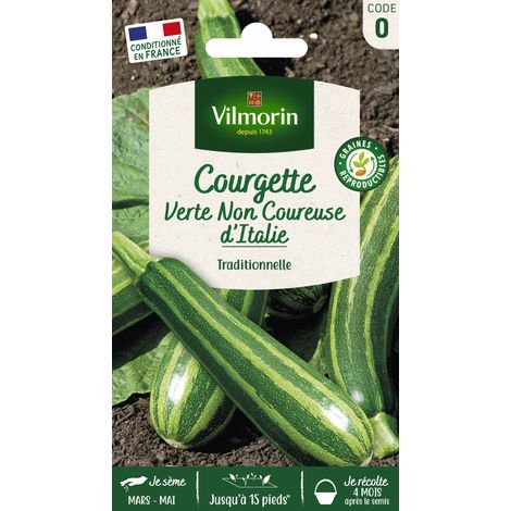 Graines de courgette verte non coureuse d'Italie – Fruits vert foncé striés – Bonne végétation pour tous terrains – Période de semis printemps/été – Vilmorin