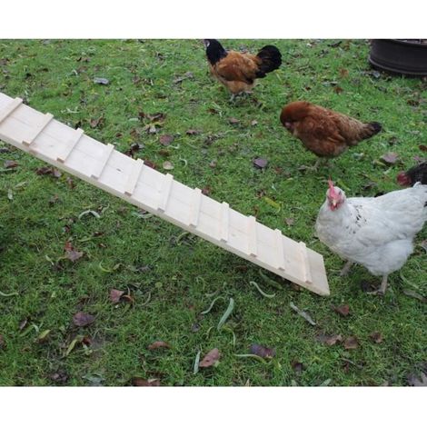 échelle poulailler kerbl chicken coop ladder robuste barreaux 8 cm