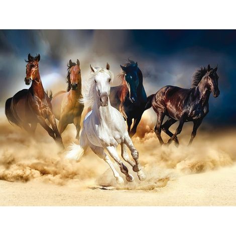Poster Thème chevaux courent - 360 x 270 cm (1/3)