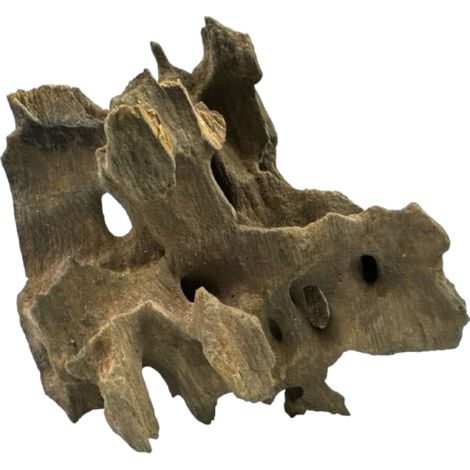 Legno di drago 10-20 cm (1/5)