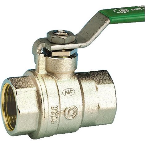Vanne boisseau sphérique NF pression acier verte PN20 FXF DN40 PETTINAROLI 51CEV40