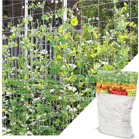 Linghhang – Filet pour plantes grimpantes 1,67m x 5m – Maille 15x15cm en polyéthylène – Support pour tomates, raisins, concombres – Installation facile (1/5)