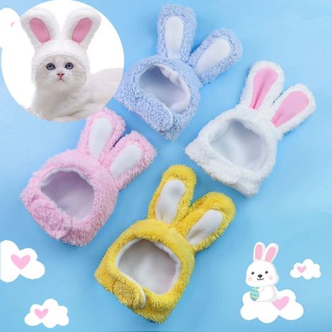 animaux de compagnie chiens chats chapeau vêtements accessoires-AquaForge (1/5)