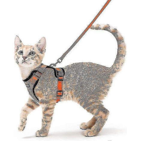 Harnais pour chat avec laisse, harnais souple, harnais pour chat, combinaison pour chat, gilet ajustable anti-fugue (1/5)
