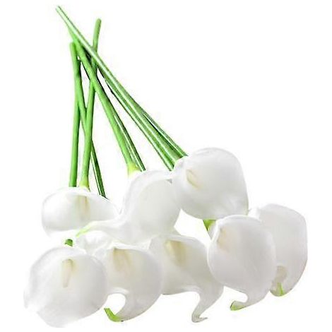 12 branches artificielles de callali commun avec tige, réalistes et réutilisables, pour la maison, les mariages et les fêtes.blanc (1/5)