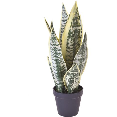 Pianta Artificiale San Severia con Vaso H 47 cm (1/4)