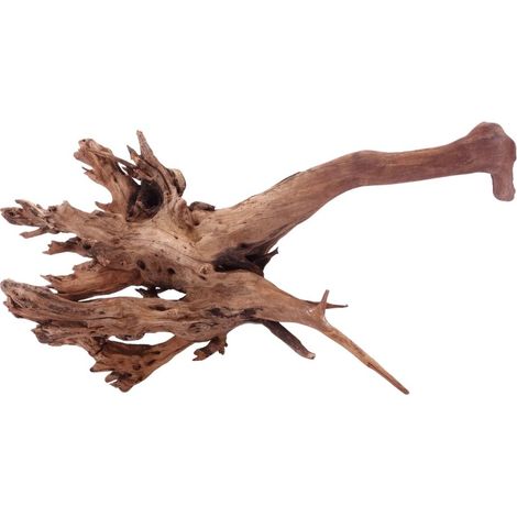 XL Driftwood Flußwurzel Nr.4927 Holz Deko Aquascaping