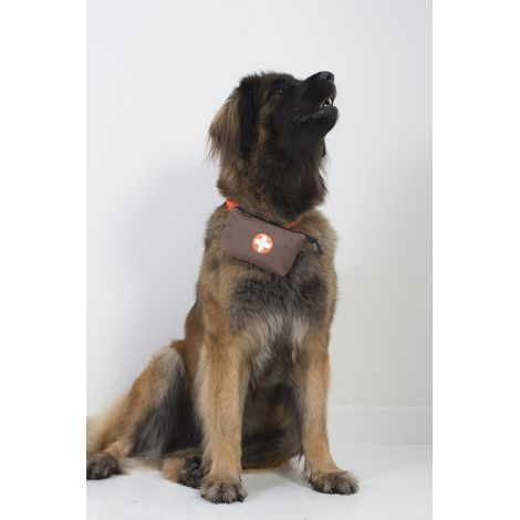 Kit de Premiers Secours Fidelami - Compact et Essentiel pour les Balades en Famille (1/5)